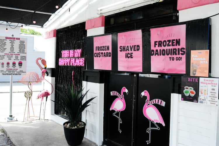 Frozen Flamingo
