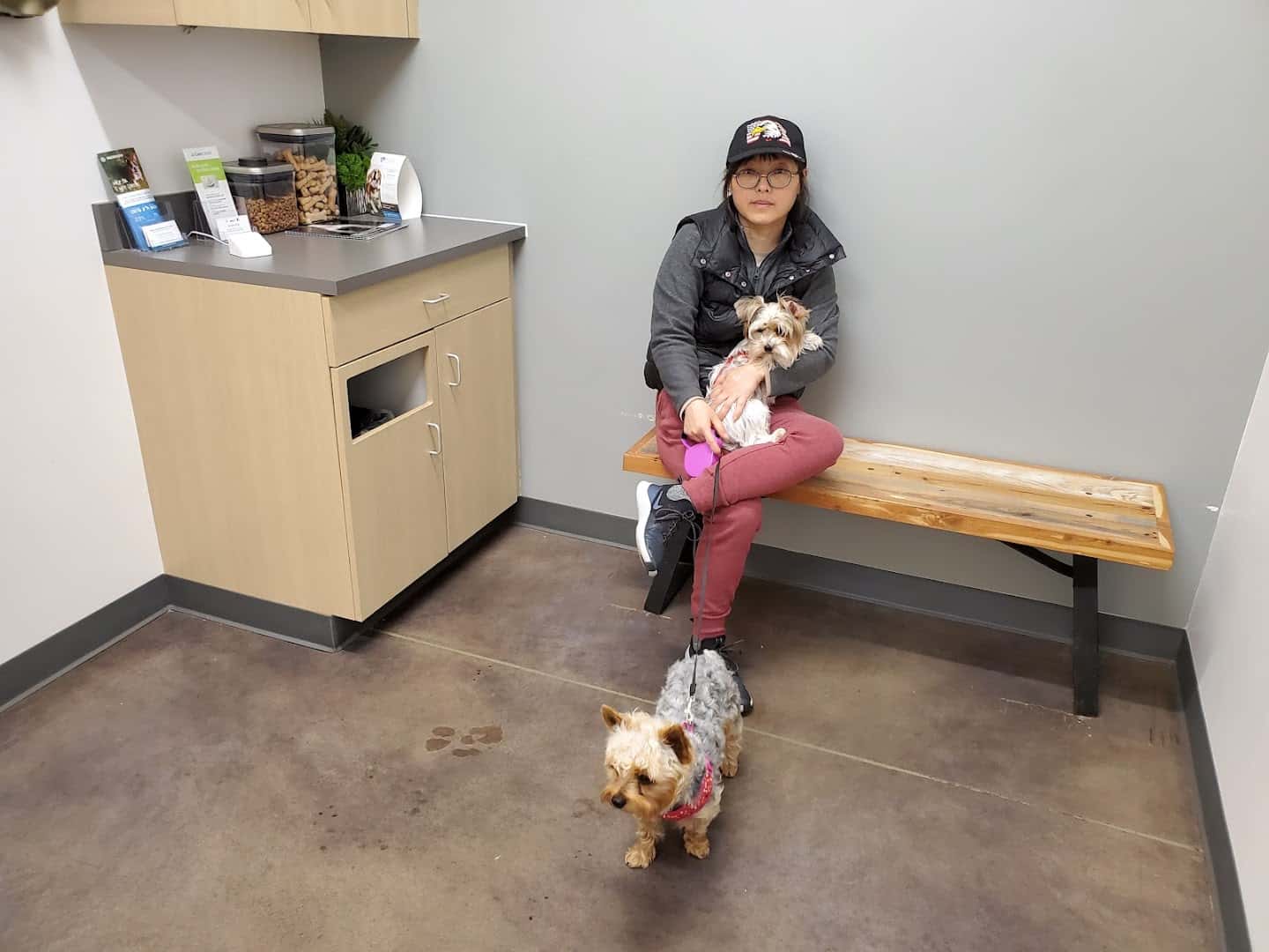 Thrive Pet Healthcare - Cedar Park — Pet Services photo 2 of 5