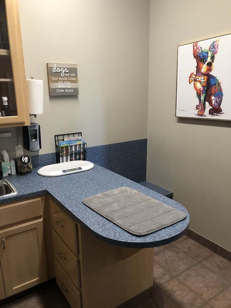 Hill Country Veterinary Hospital — Pet Services photo 2 of 5
