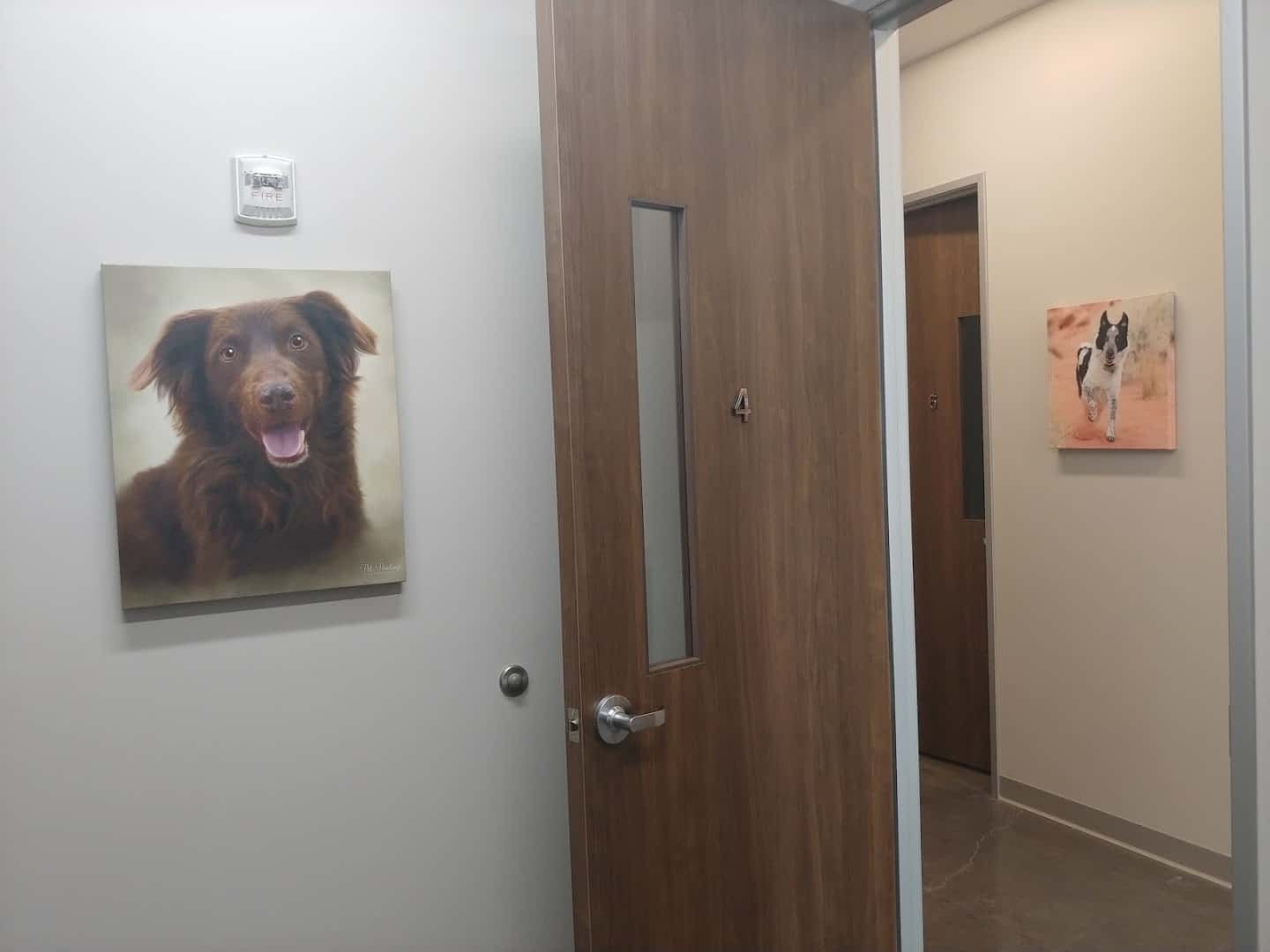 Daylily Animal Hospital — Pet Services photo 2 of 5