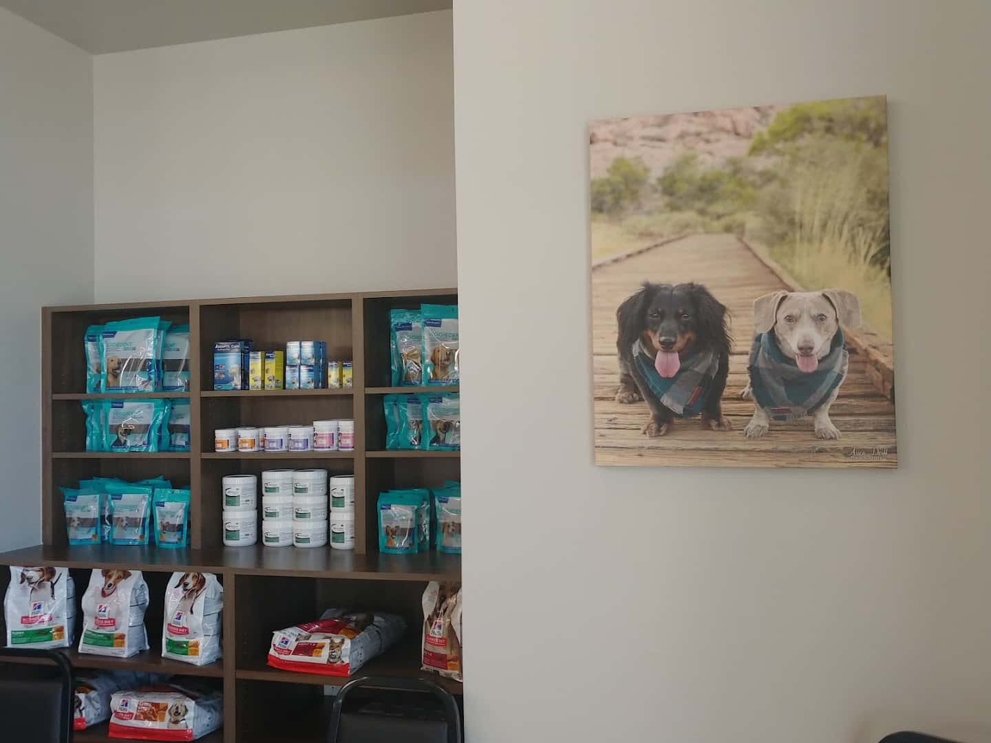 Daylily Animal Hospital — Pet Services photo 3 of 5
