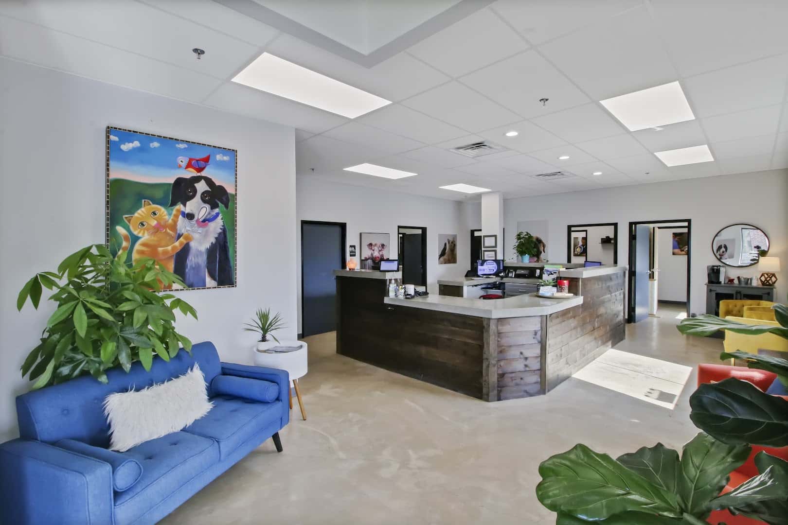 Sam Bass Veterinary Wellness — Pet Services photo 2 of 5