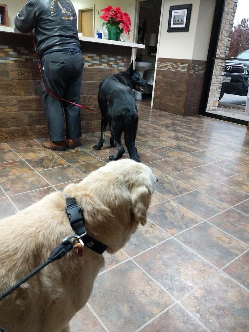 Koy Animal Clinic — Pet Services photo 3 of 5
