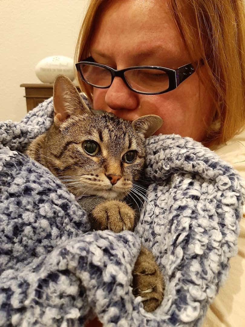 Cedar Park Animal Clinic — Pet Services photo 3 of 5