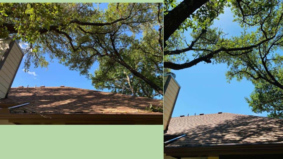 Acacia Tree and Landscape Care — Lawn & Landscape photo 1 of 5