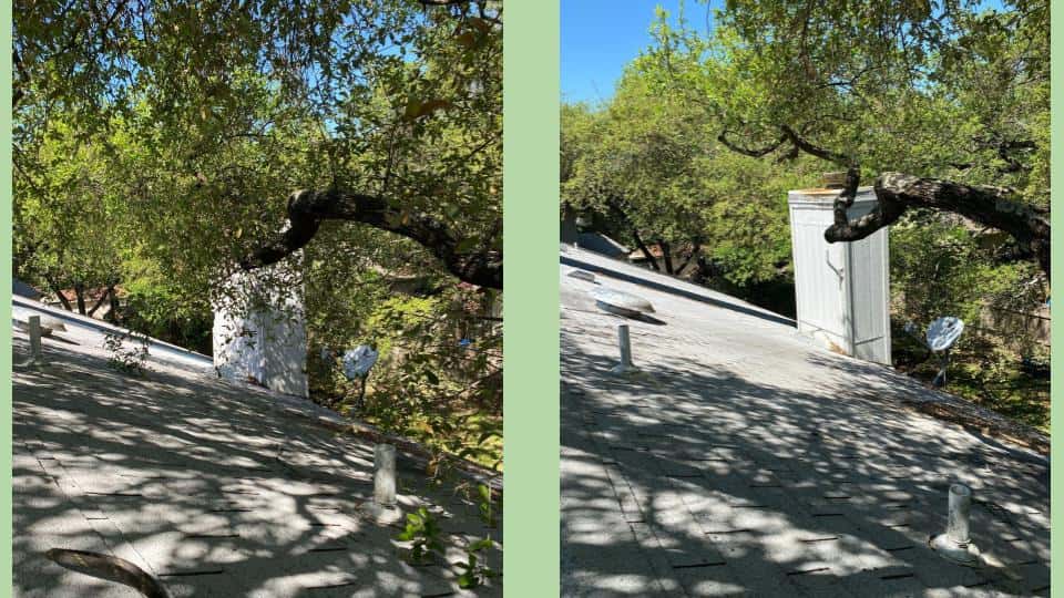 Acacia Tree and Landscape Care — Lawn & Landscape photo 2 of 5