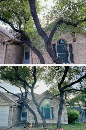 Acacia Tree and Landscape Care — Lawn & Landscape photo 3 of 5