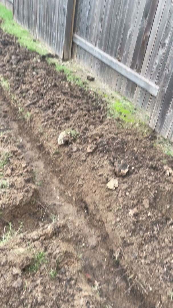 Jaimes Brothers landscaping — Lawn & Landscape photo 2 of 5