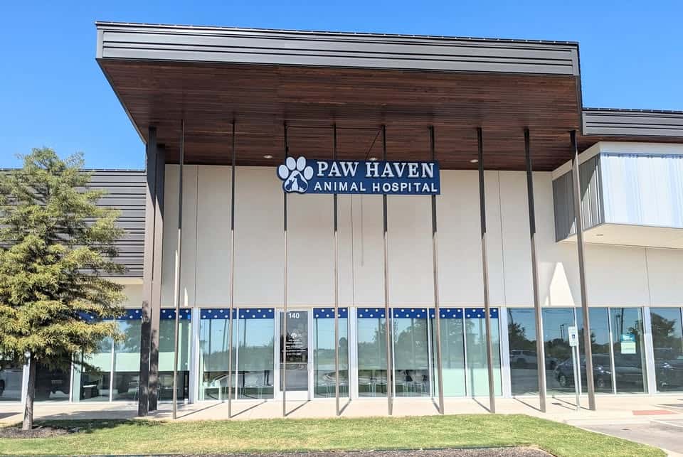 Paw Haven Animal Hospital — Pet Services photo 1 of 5