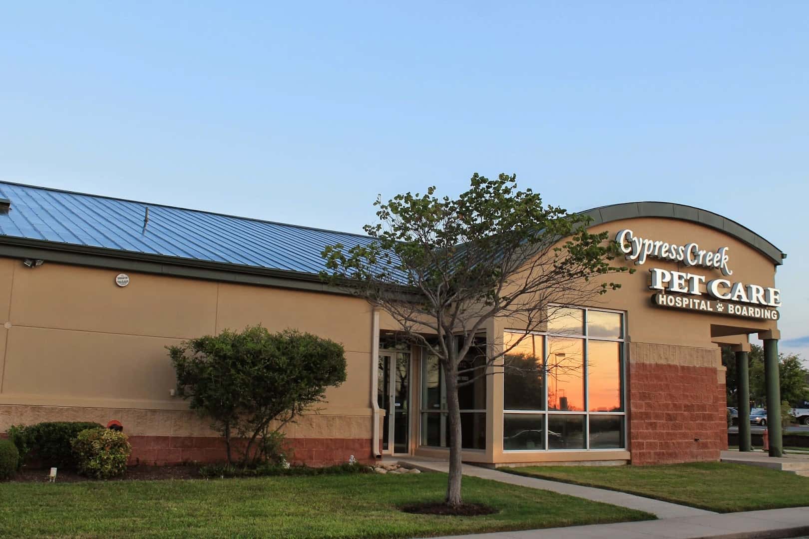 Cypress Creek Pet Care, A Thrive Pet Healthcare Partner — Pet Services photo 1 of 5