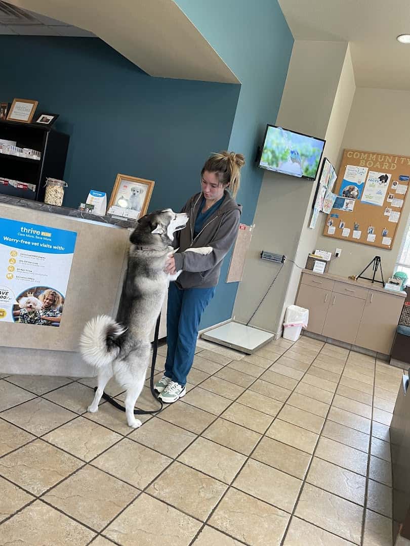 Cypress Creek Pet Care, A Thrive Pet Healthcare Partner — Pet Services photo 3 of 5