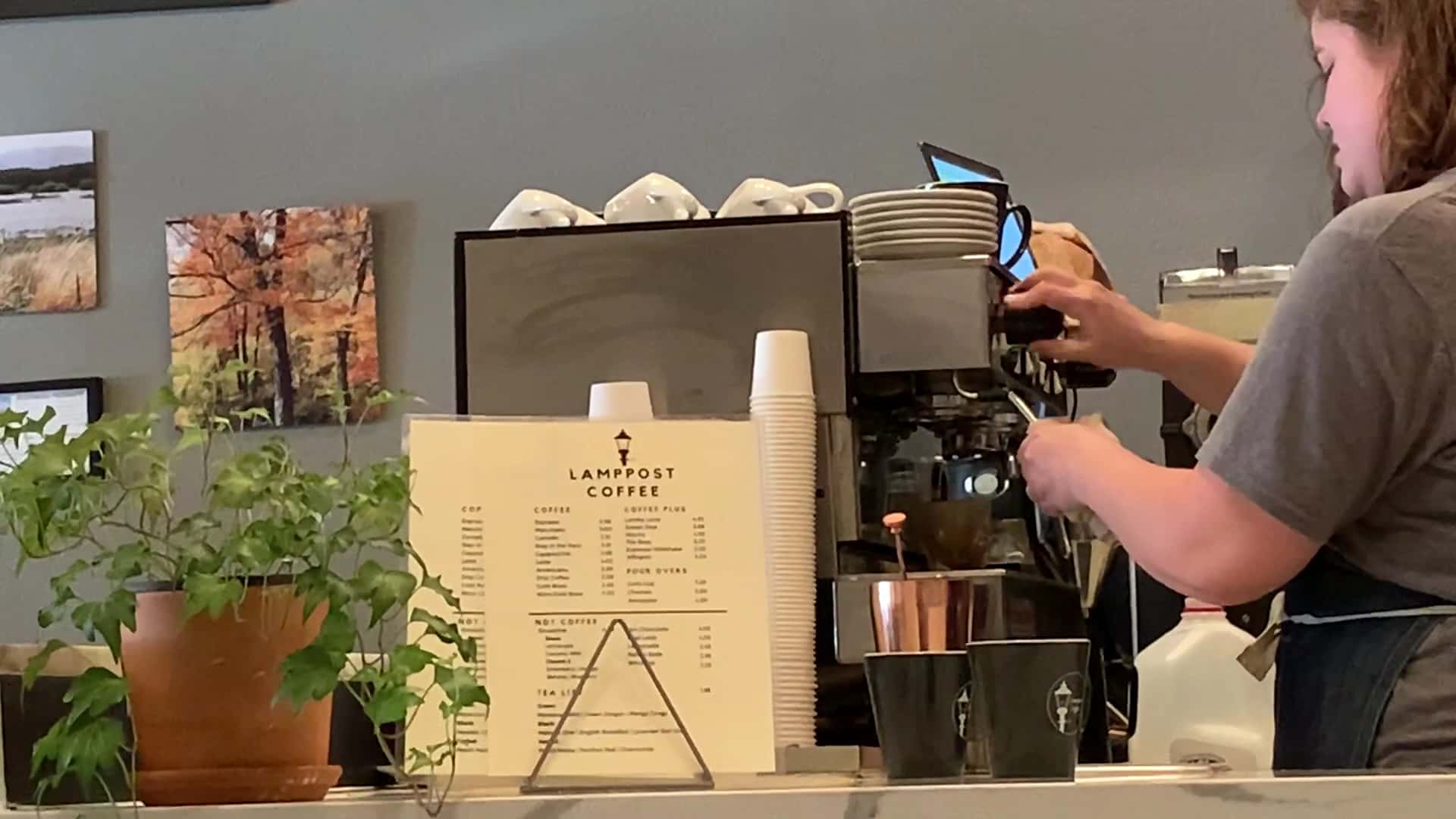 Lamppost Coffee — Coffee Shops & Cafes photo 2 of 5