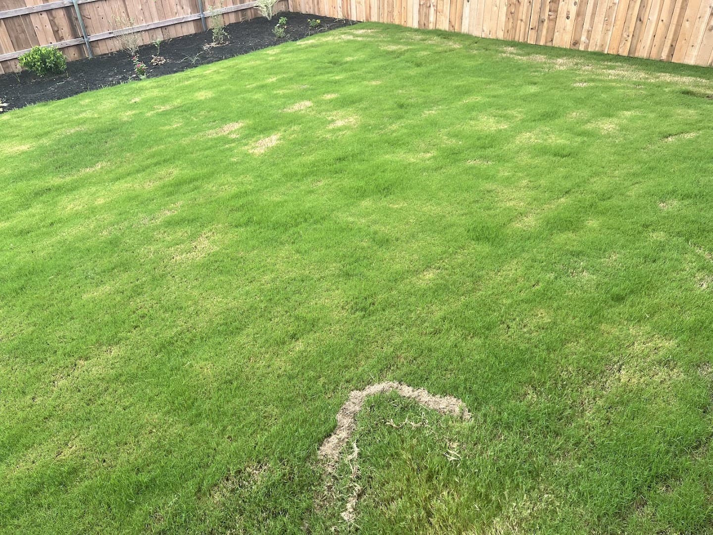Yardful Lawn Services — Lawn & Landscape photo 1 of 5