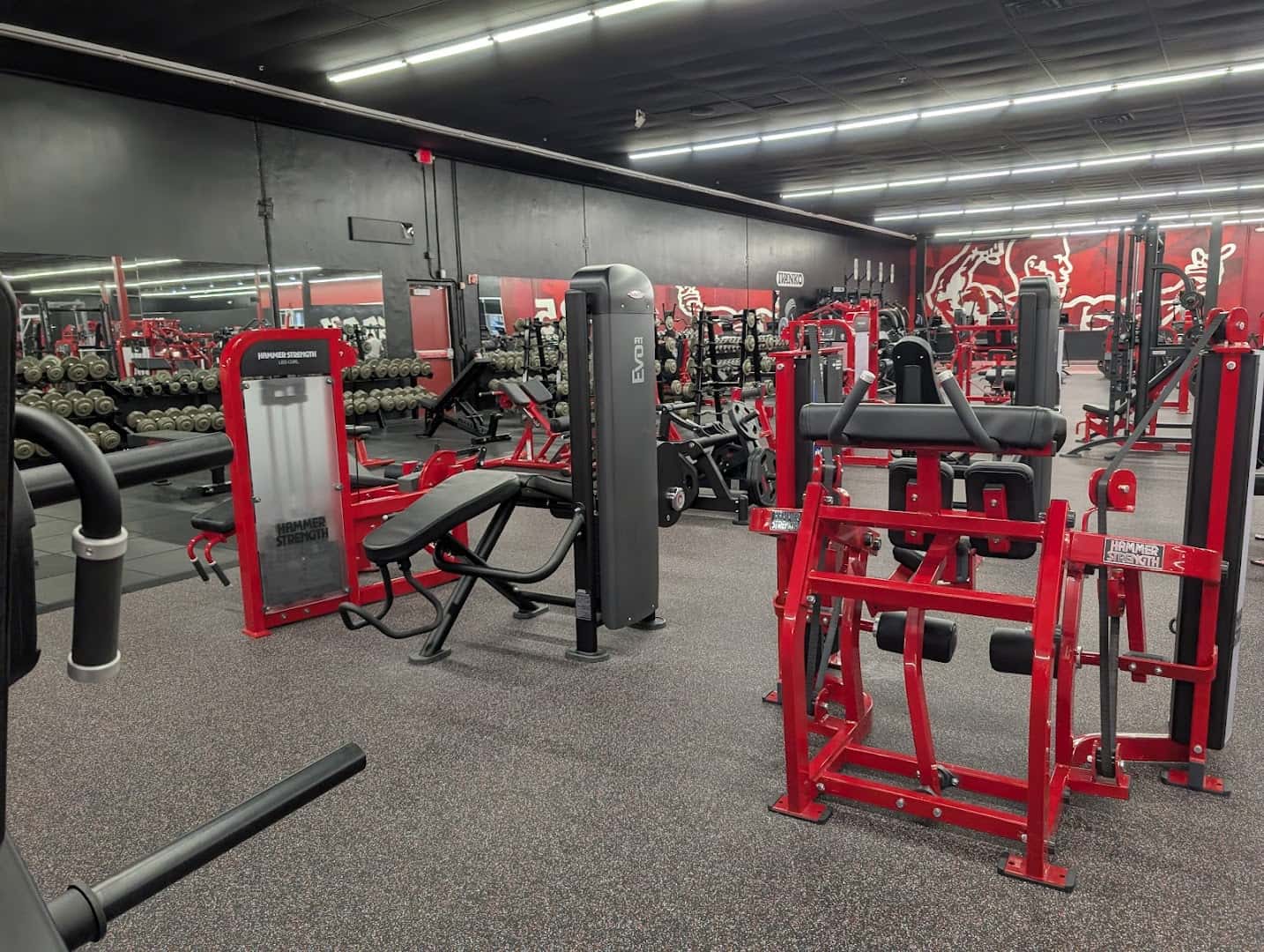 Los Campeones Gym Round Rock — Fitness & Gyms photo 3 of 5
