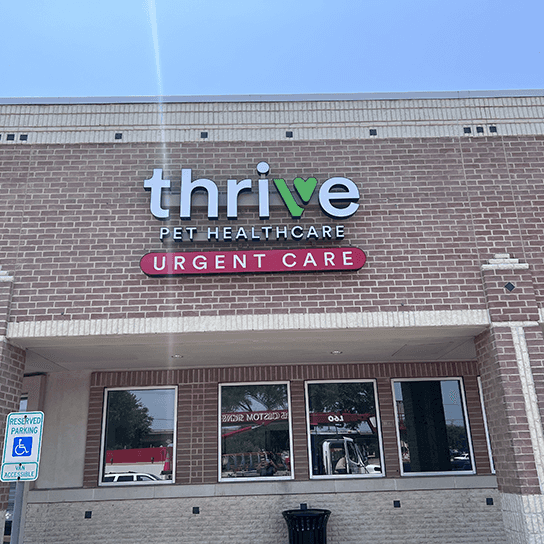 Thrive Pet Healthcare - Round Rock — Pet Services photo 1 of 5