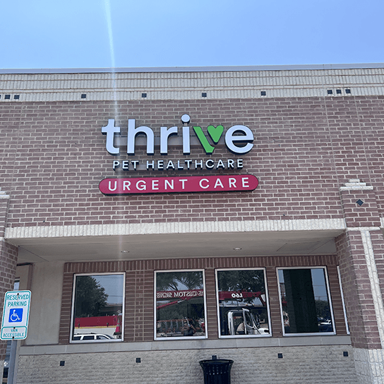 Thrive Pet Healthcare - Round Rock — Pet Services photo 1 of 5