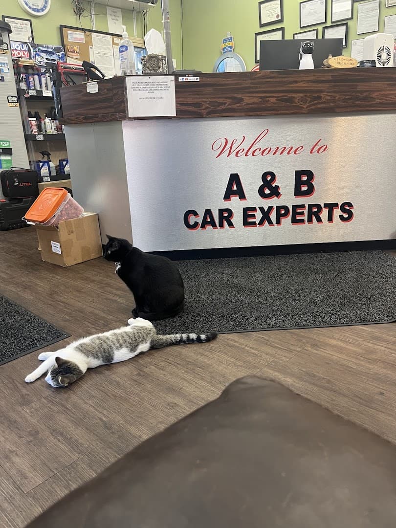A & B Car Experts — Auto Services photo 1 of 5