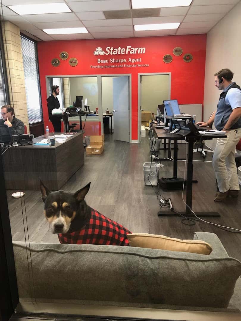 Beau Sharpe - State Farm Insurance Agent — Insurance Agents photo 2 of 5