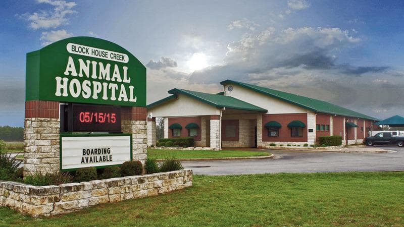 Block House Creek Animal Hospital — Pet Services photo 1 of 5