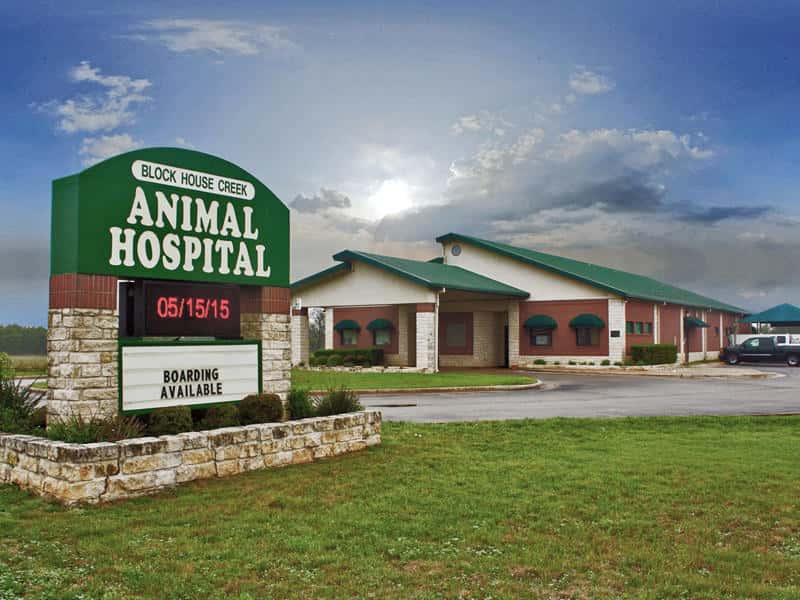 Block House Creek Animal Hospital — Pet Services photo 3 of 5