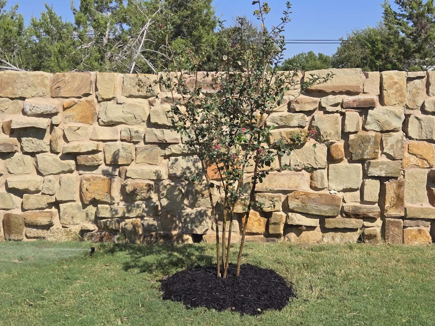 Morgan Lawn Care — Lawn & Landscape photo 3 of 5