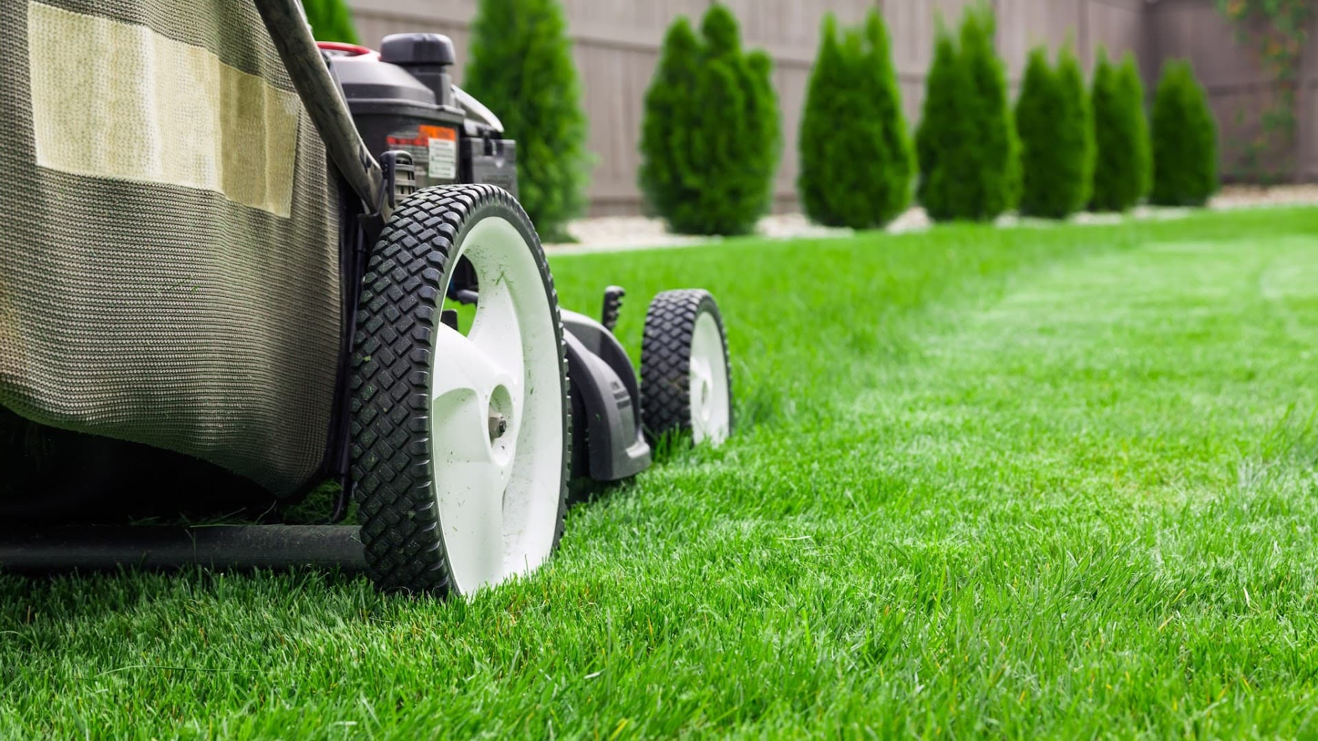 LawnStarter Cedar Park — Lawn & Landscape photo 1 of 5