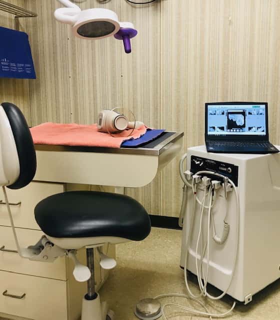 Highway 79 Animal Clinic — Pet Services photo 2 of 5