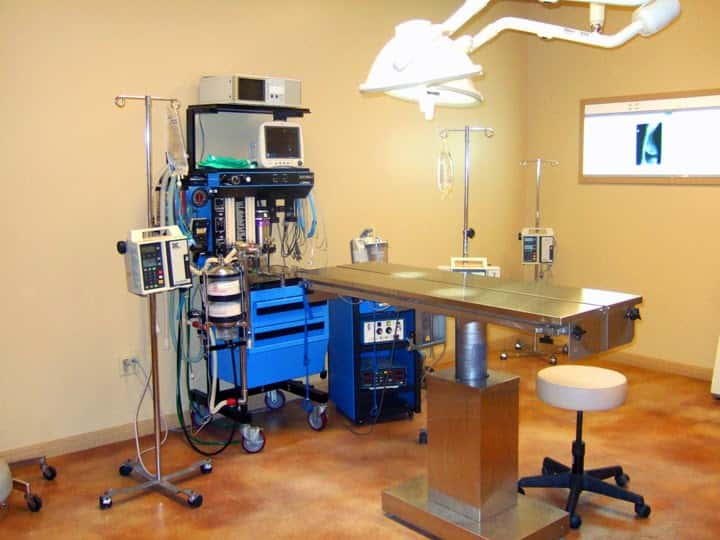Heart of Texas Veterinary Specialty Center — Pet Services photo 2 of 5