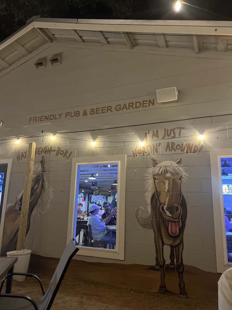 The Thirsty Longhorn