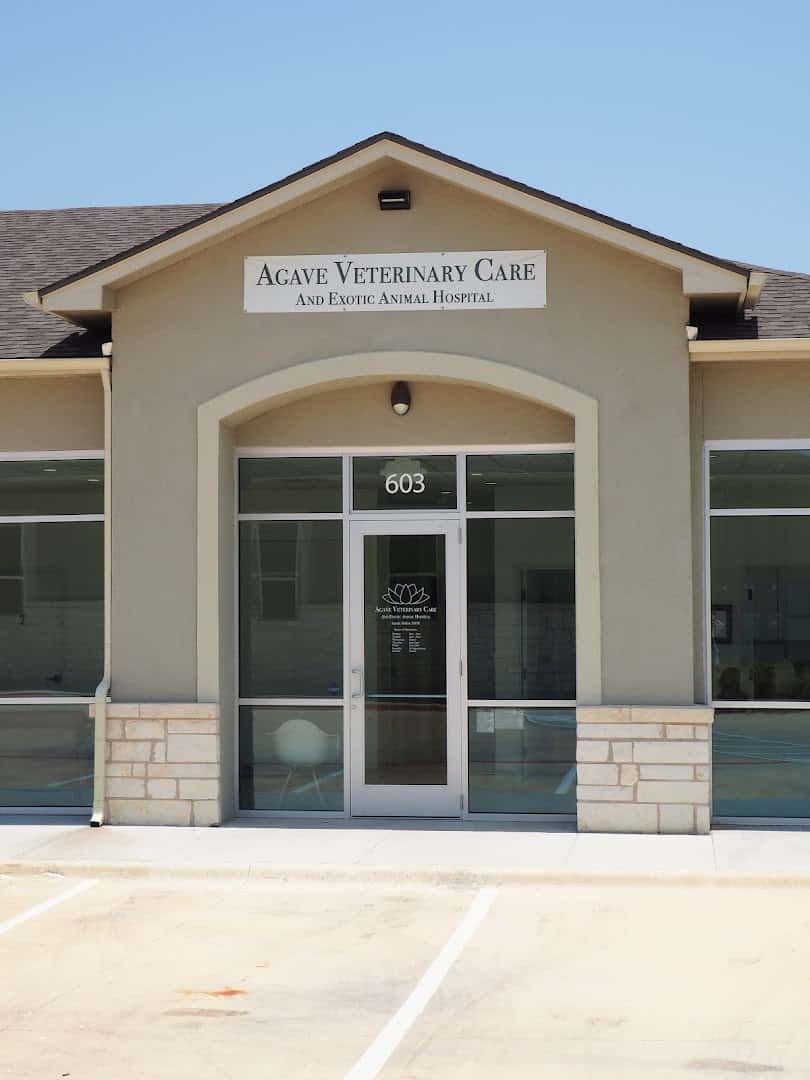 Agave Vet Care & Exotic Animal Hospital — Pet Services photo 1 of 5