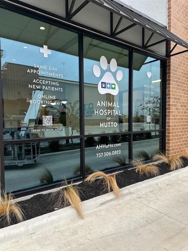 Animal Hospital of Hutto — Pet Services photo 1 of 5
