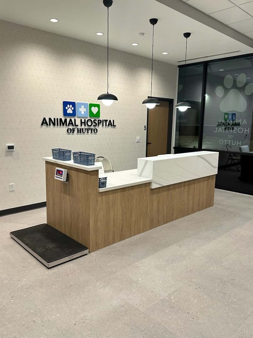 Animal Hospital of Hutto — Pet Services photo 2 of 5