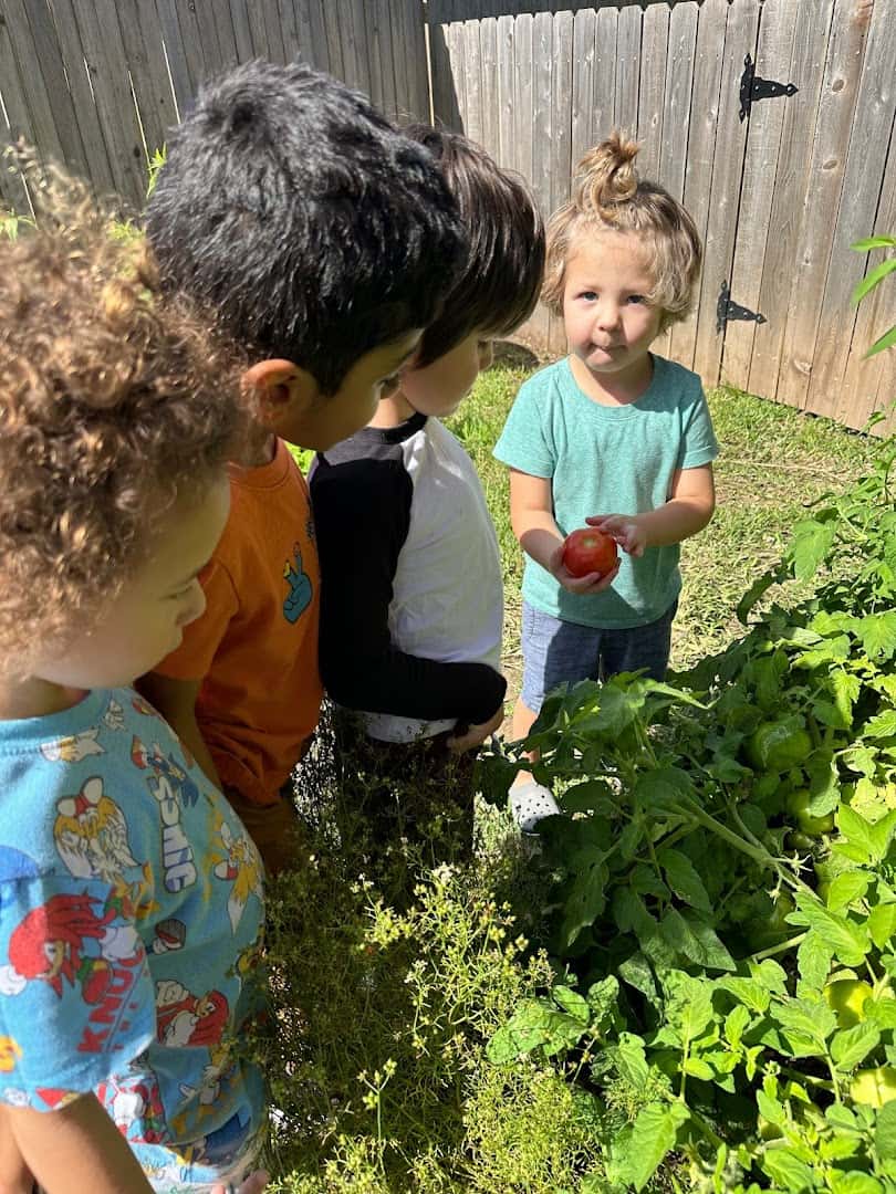 Dew Drops Montessori Preschool — Childcare & Schools photo 3 of 5