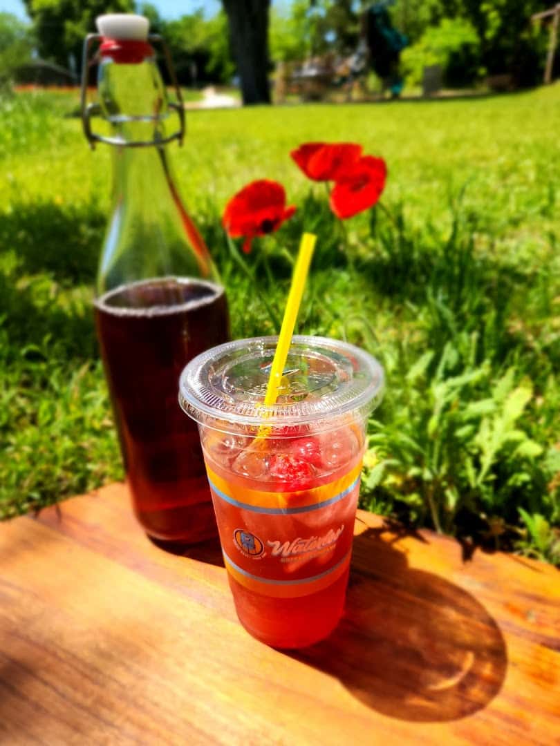 Waterloo Coffee Company — Coffee Shops & Cafes photo 3 of 5