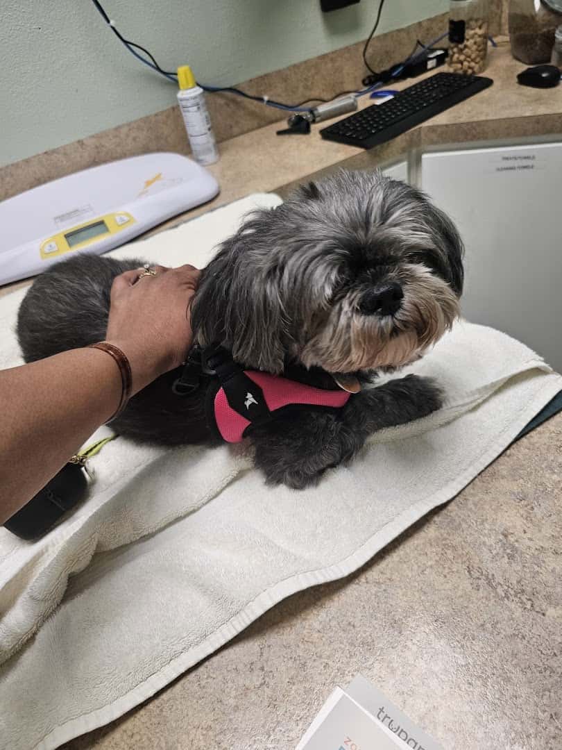 Animal Care Clinic — Pet Services photo 2 of 5