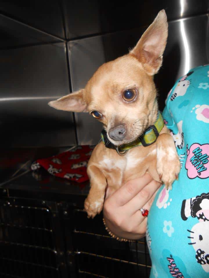 Animal Care Clinic — Pet Services photo 3 of 5
