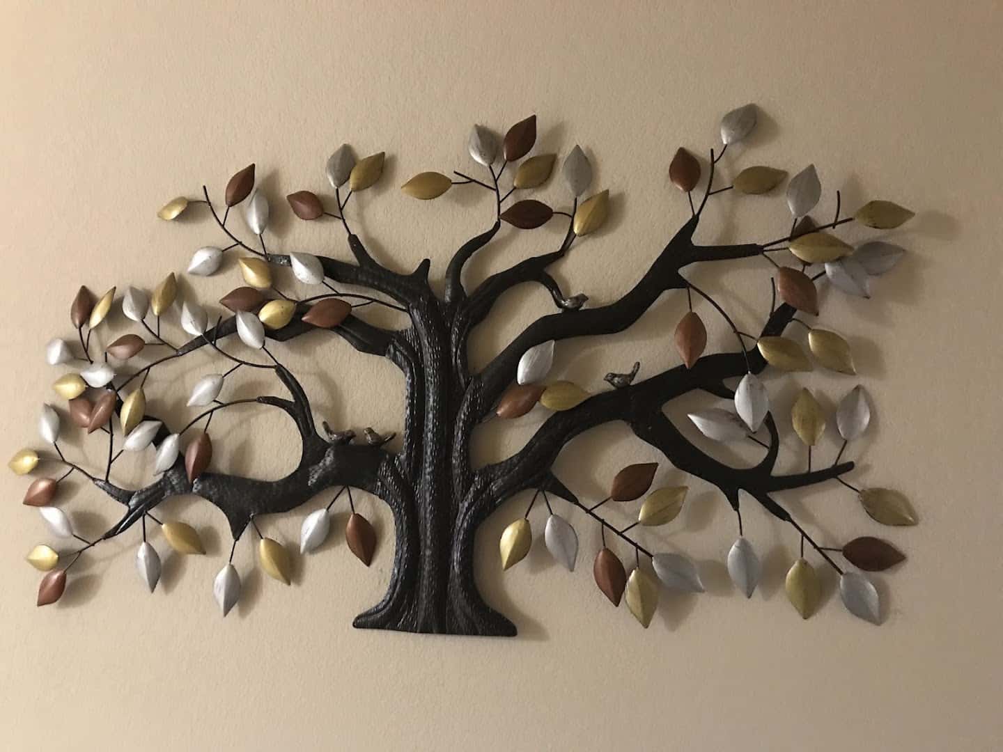 Clare Creek Personal Care Home — Senior Services photo 2 of 4