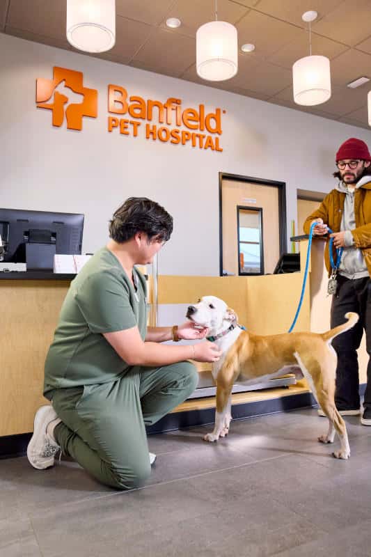 Banfield Pet Hospital — Pet Services photo 3 of 5