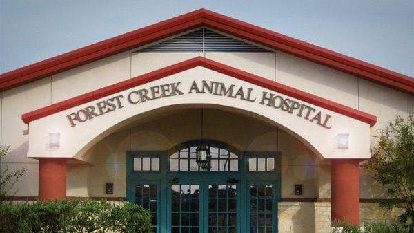 Forest Creek Animal Hospital — Pet Services photo 1 of 5
