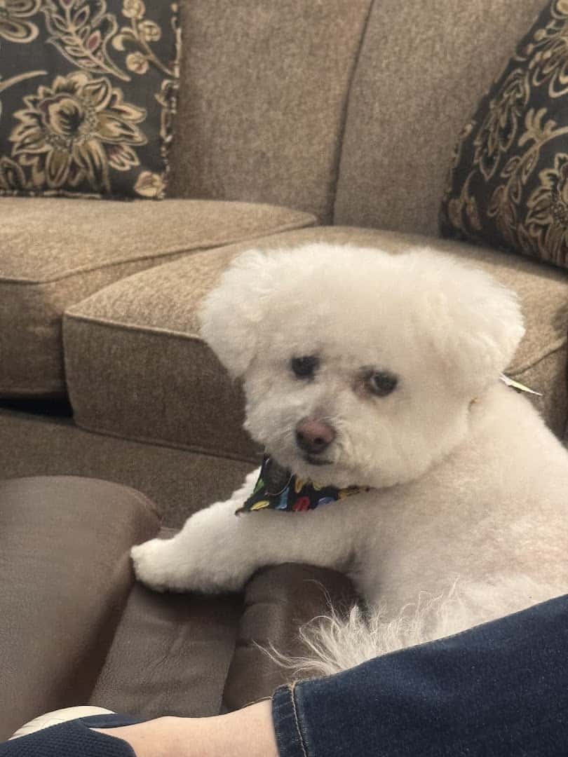 Forest Creek Animal Hospital — Pet Services photo 3 of 5
