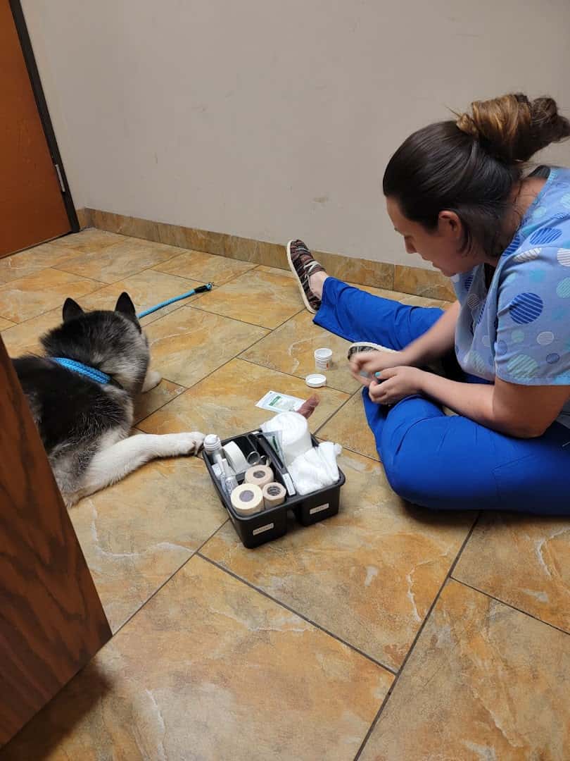 FM 685 Animal Hospital — Pet Services photo 2 of 5