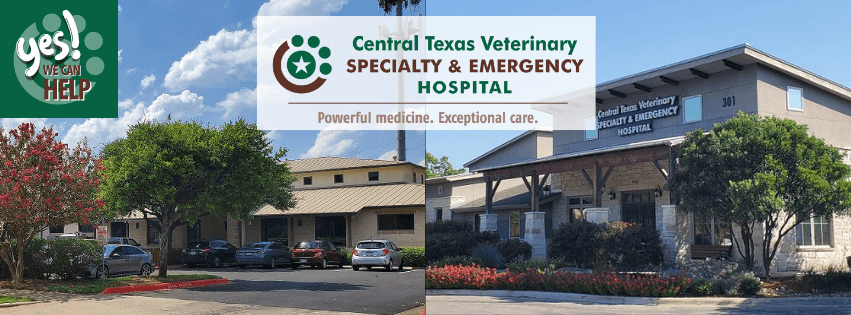 Central Texas Veterinary Speciality and Emergency Hospital- Round Rock — Pet Services photo 1 of 5