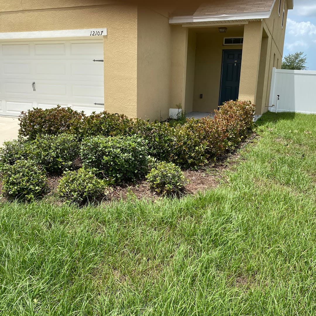 LawnStarter - Austin Landscaping — Lawn & Landscape photo 1 of 5