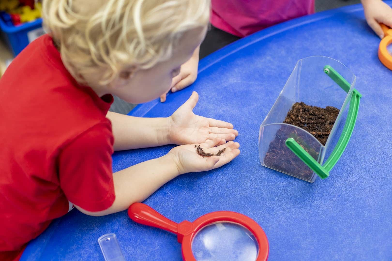 Amazing Explorers Academy Georgetown — Childcare & Schools photo 3 of 5