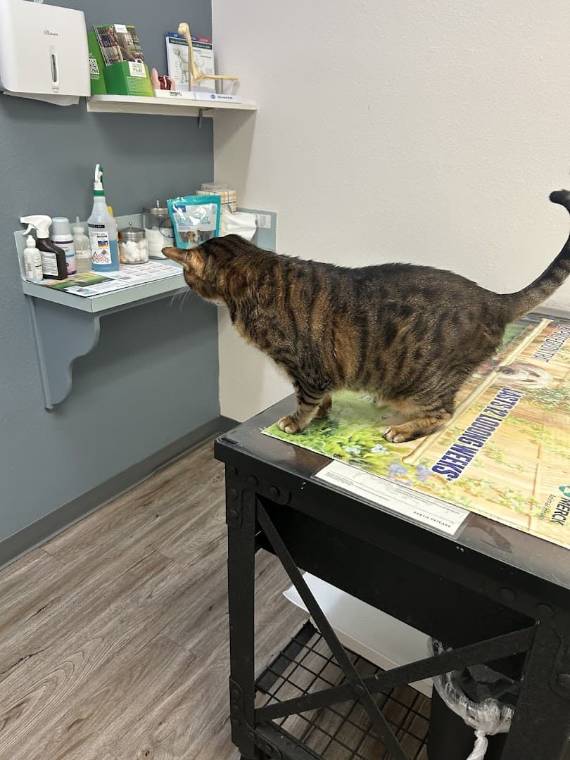 Woof Animal Hospital — Pet Services photo 1 of 5