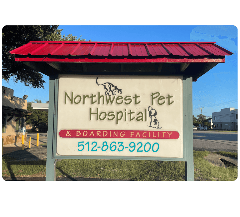 Northwest Pet Hospital — Pet Services photo 1 of 5