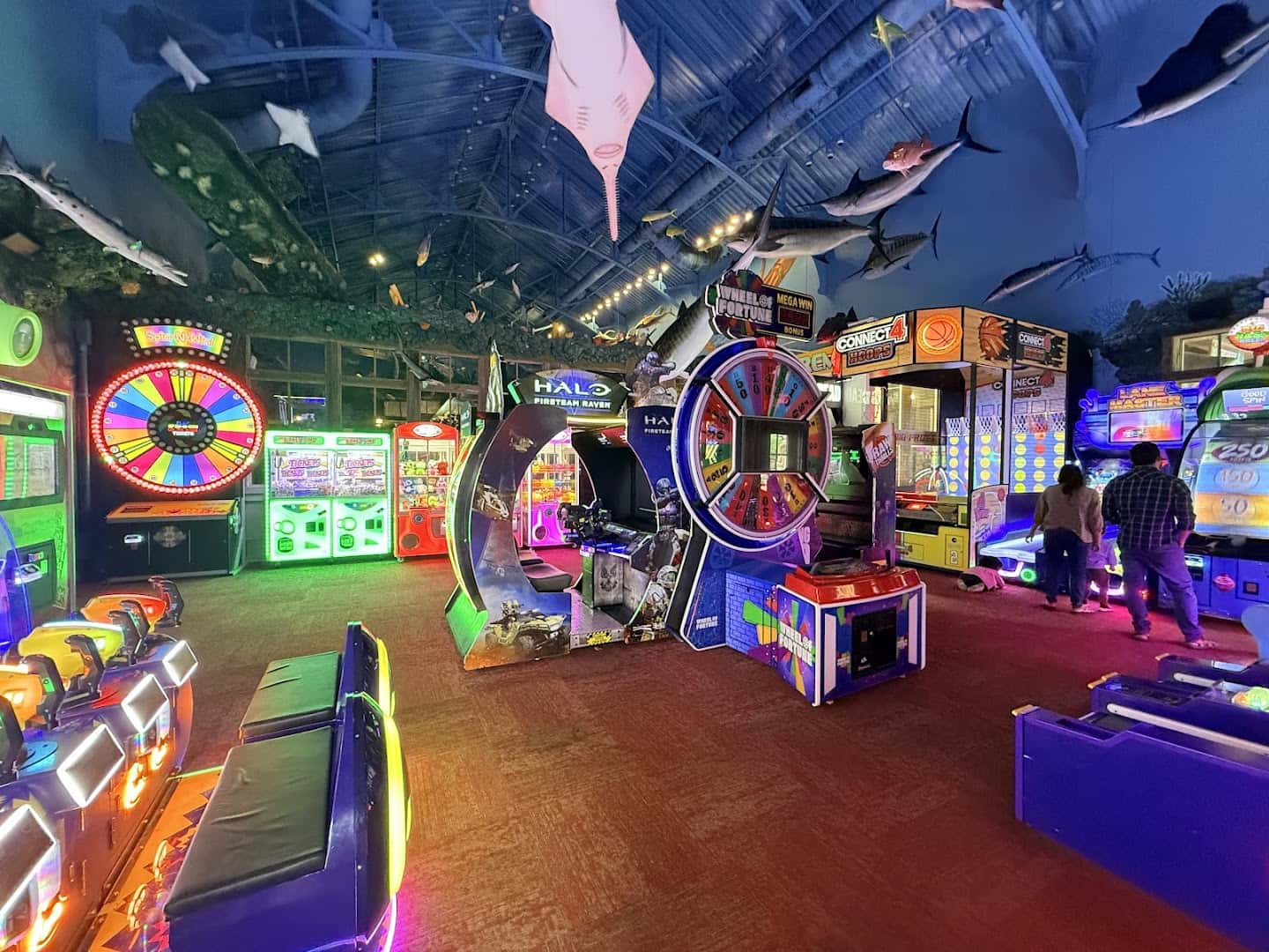 Uncle Buck's Fish Bowl and Grill — Restaurants photo 3 of 5