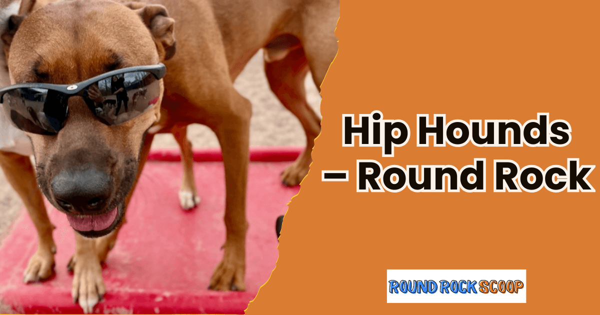 Endless Play and Care at Hip Hounds