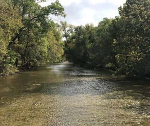 Brushy Creek Water Quality Training